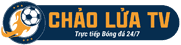 phân tích vội vàng 13 câu đầu